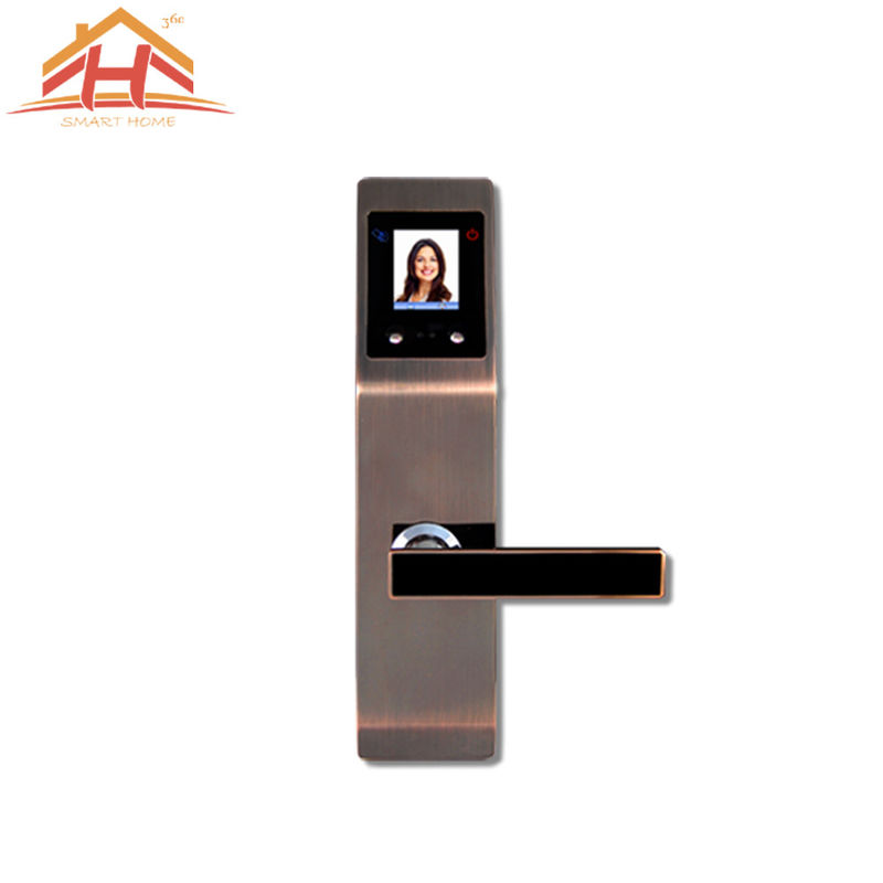 Metal Face And Palm Recognition Biometric Door Lock With Touch Screen