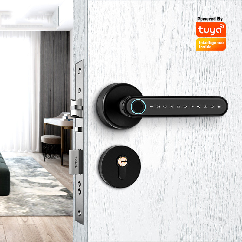 Security Wifi Wireless Door Lock TUYA APP Access Smart Keyless Digital ...