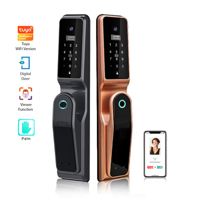 Face/Fingerprint/Palm and Password IC Card Smart Door Lock with TUYA WIFI/TT Lock APP Viewer Vision Digital with Camera