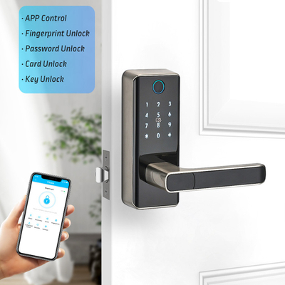 Biometric Fingerprint Remote unlocking digits door lock and smart wireless door lock with tuya and TTLock